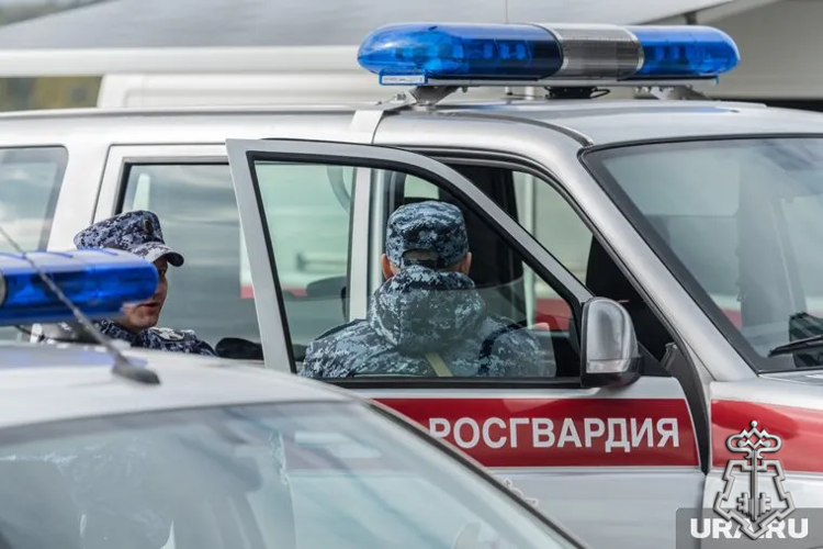 Подведены итоги деятельности вневедомственной охраны края за 1 полугодие 2025 года
